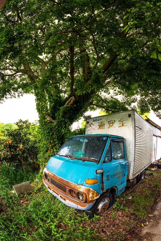 Rusting truck in a forest central Japan