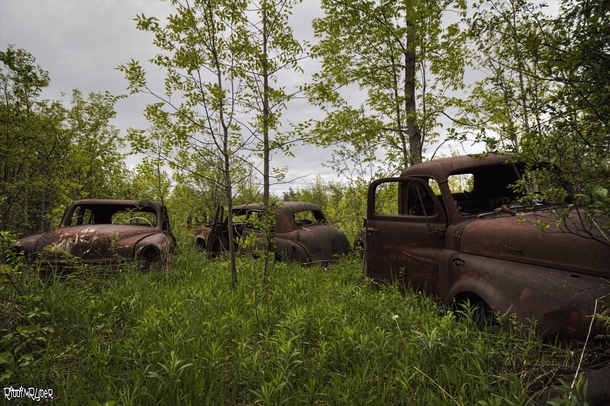 Rusty Abandoned Vehicles Found Hidden Away Out Behind an Abandoned House in Rural Ontario Canada 