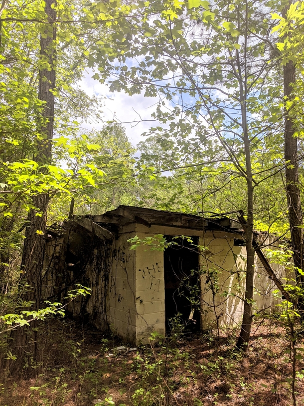 s Drive-In Movie Theater Concession Stand Decaying In The Middle Of The Forest In Canton GA 