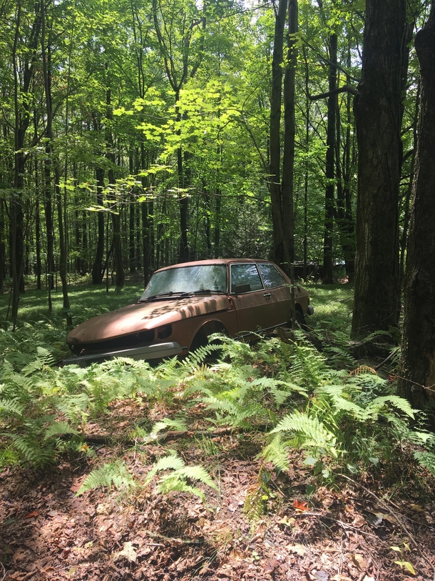 Saab found in the woods in Catskill Mountains