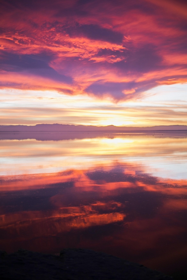 Salton Sea A California Sunset 