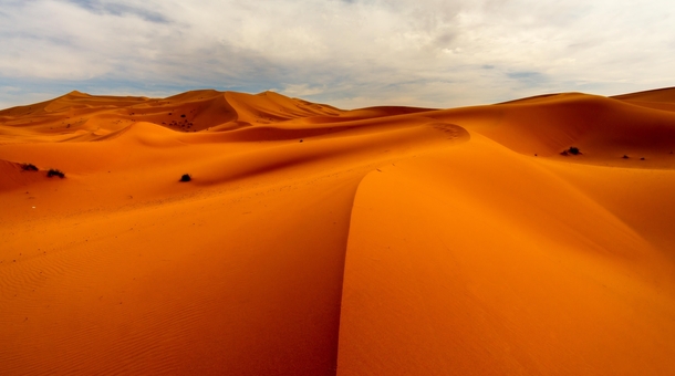 Sand Dunes in Eastern Morocco 