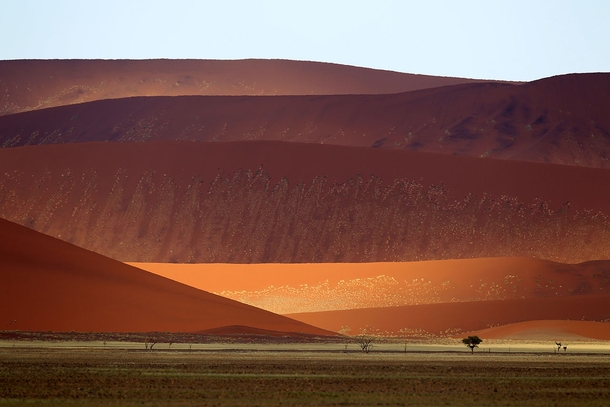 Sand dunes in the Namib-Naukluft National Park Namibia 