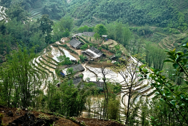 Sapa rice fields view from above Vietnam 