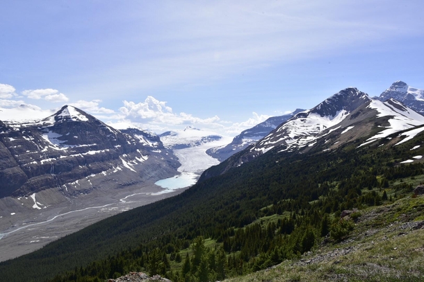 Saskatchewan Glacier from the top of Parker Ridge bike in Banff National Park 
