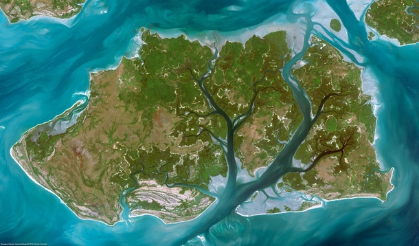 Satellite Image of Geba River Delta 
