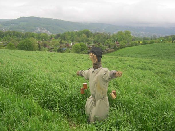 Scarecrow in a field - Baselland Switzerland 