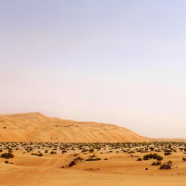 Scene from the Liwa Oasis in the southern United Arab Emirates 