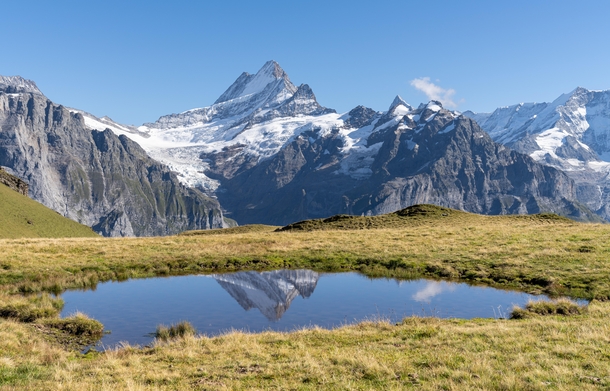 Schreckhorns reflection above grindelwald Switzerland 
