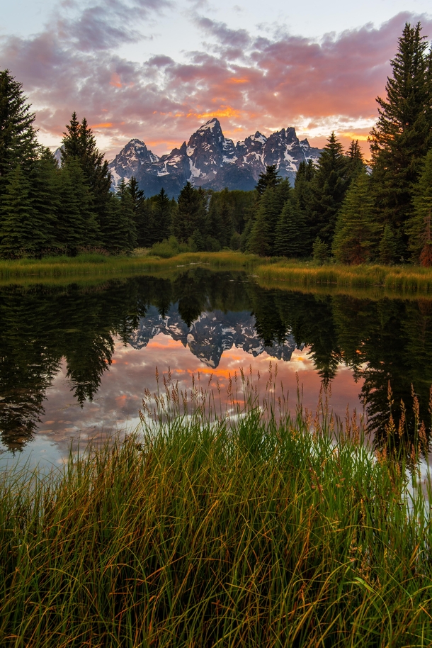 Schwabacher Landing in Grand Teton National Park What a magical place OC  x 