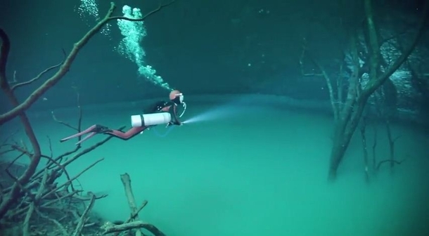 Scuba diving in an underwater river Cenote Angelita Mexico  by Anatoly Beloshchin