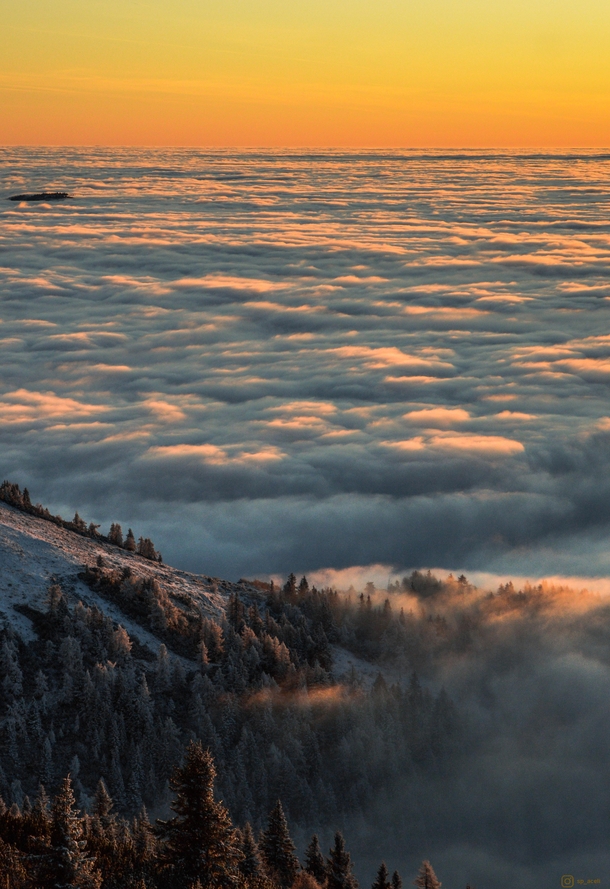 Sea of clouds flooding the forest below Slovenia  IGsp_aceli