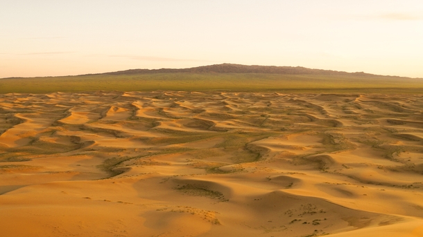 sea of dunes Mongolia Gobi desert 