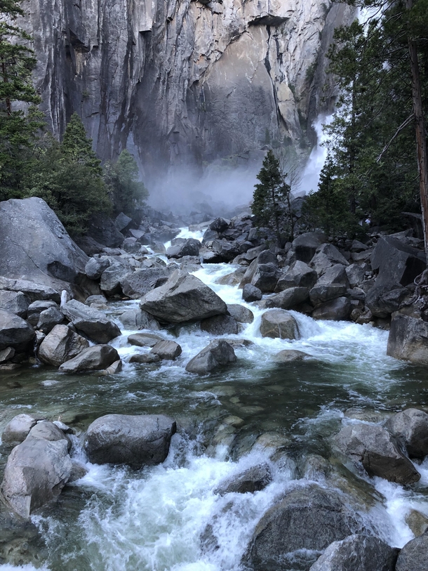 Serene Picture from Yosemite National Park 