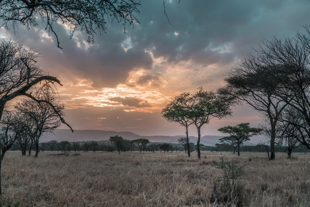Serengeti National Park camp view  OC