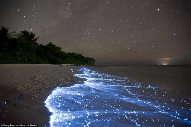 Shimmering shores Glowing blue water washes up on a beach in Vaadhoo Maldives 