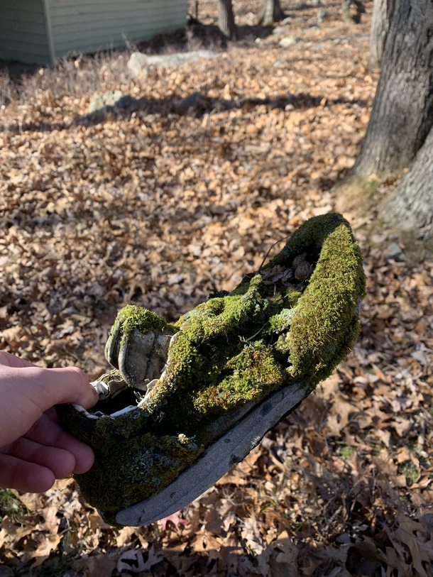 Shoe I found while exploring an abandoned resort in Pennsylvania