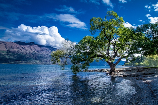 Shores of Lake Wakatipu Queenstown New Zealand 