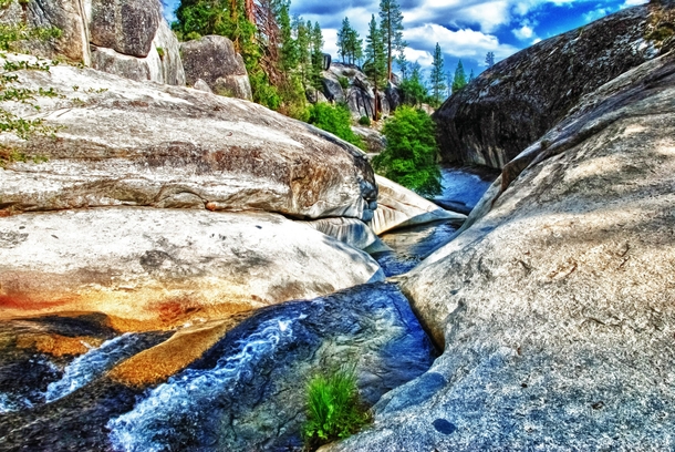 Sierra Nevada creek Sequoia NF   x 