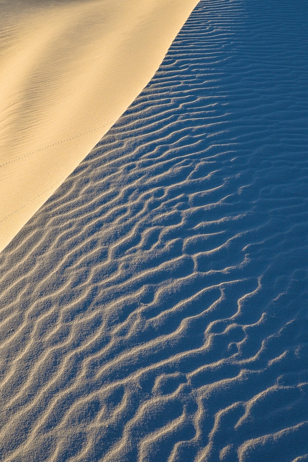Signs of Life White Sands National Monument New Mexico 