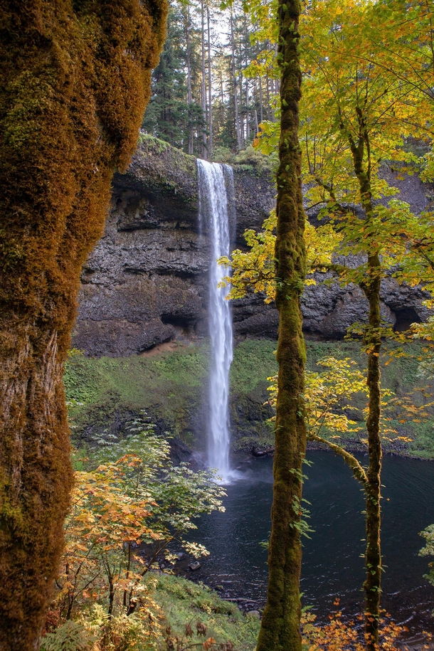 Silver Falls State Park Oregon 