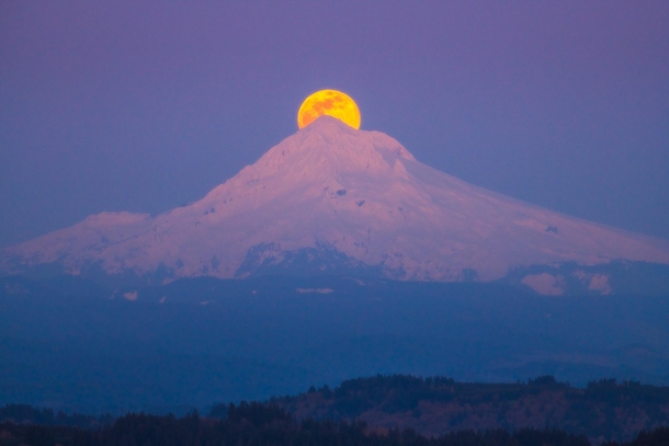 Single image of the supermoon above Mt Hood from Happy Valley Oregon 