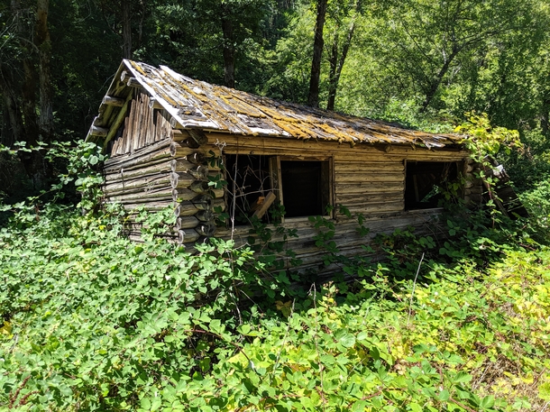 Single room log cabin found in Klamath National Forest California