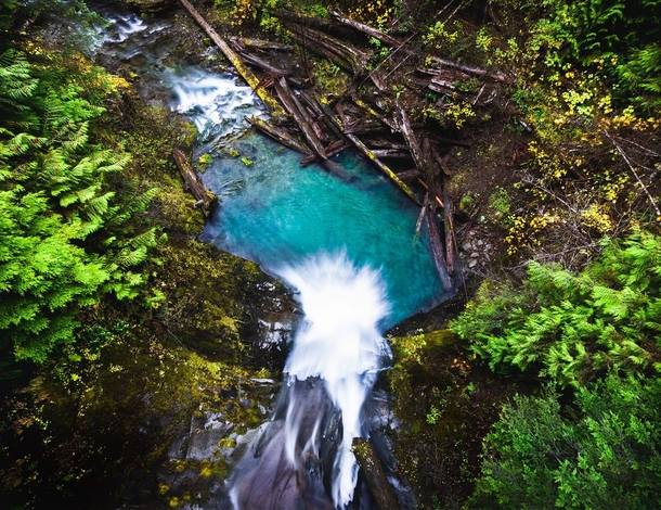 Sitkum River Falls from above in Olympic National Forest 