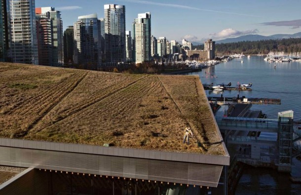 Six acre grass roof Vancouver Convention Centre 