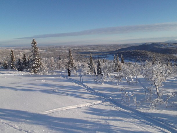 Skiing in re Sweden 