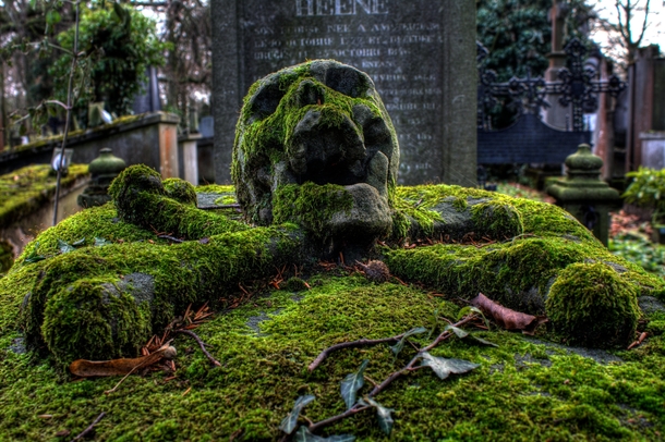 Skull Gravestone encrusted in Moss photo by Tunebm on flickr 