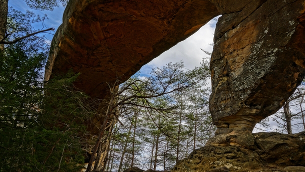 Sky Bridge at the Red River Gorge KY  OC