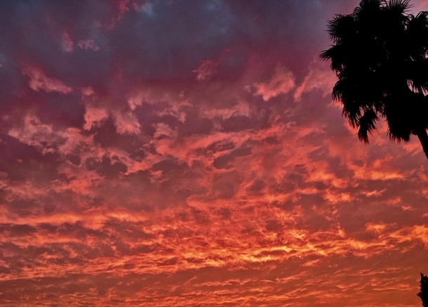 Sky on fire - Los Angeles  x  
