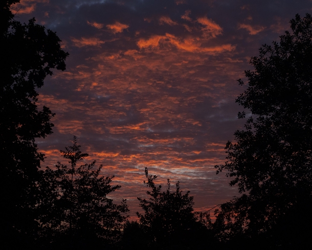 Sky on fire Tettenhall Wolverhampton UK Just as it came out of the camera  x  OC