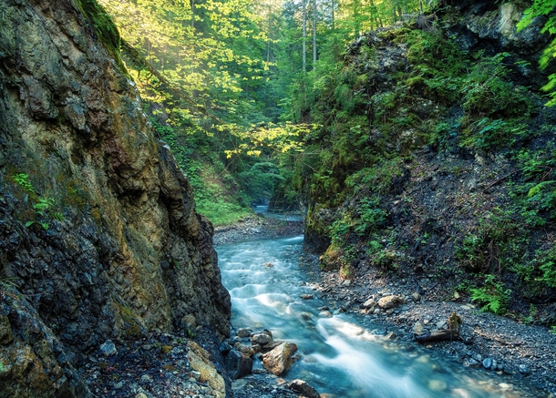 Small mountain stream in the morning light Bavaria Germany 