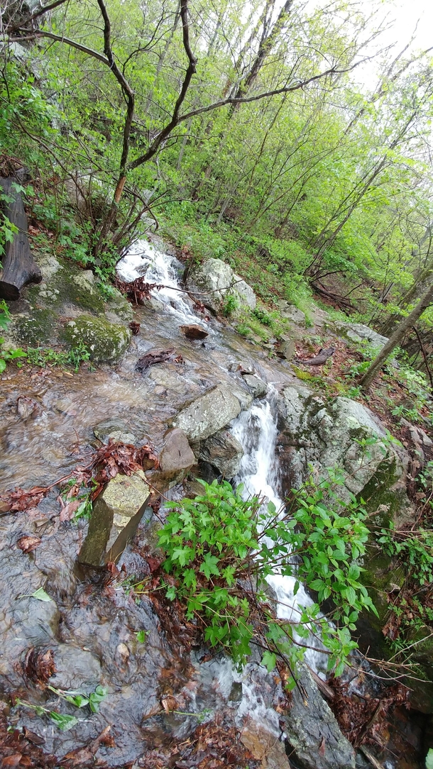 Small stream crossing the Appalachian trail after heavy rains 