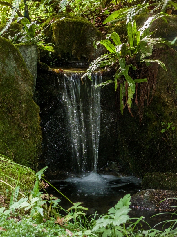 Small waterfall at Lakewold Gardens in Lakewood Washington 