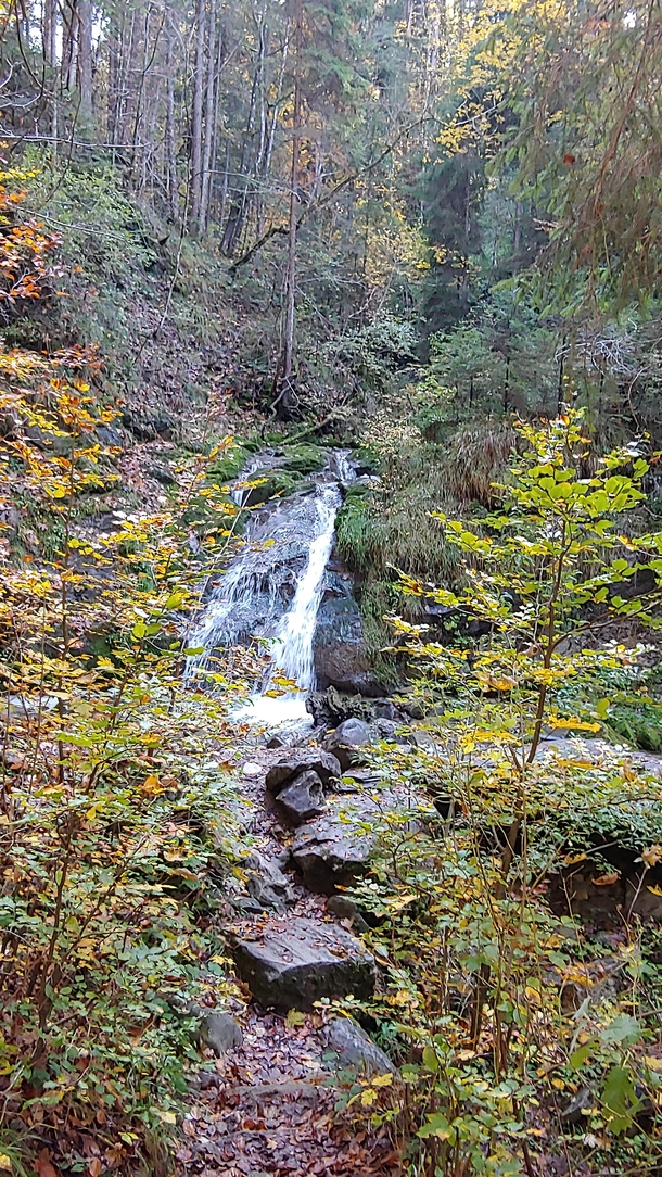 Small waterfall in Swiss woods 