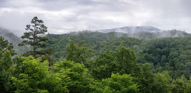 Smoky Mountains in Tennessee earning their name 