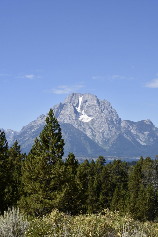 Snapped this shot of Mt Moran while hiking in Grand Teton National Park Wyoming USA 