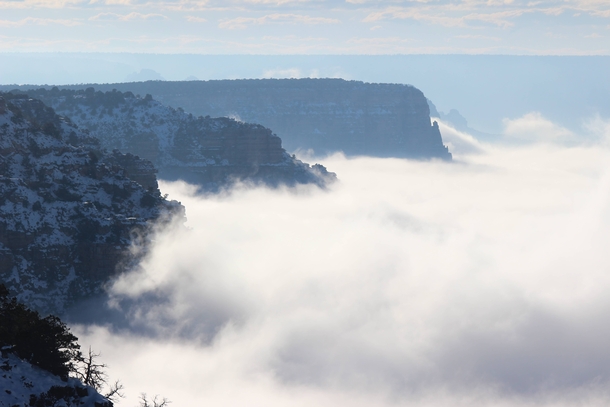 Snow and Mist at The Grand Canyon  OC
