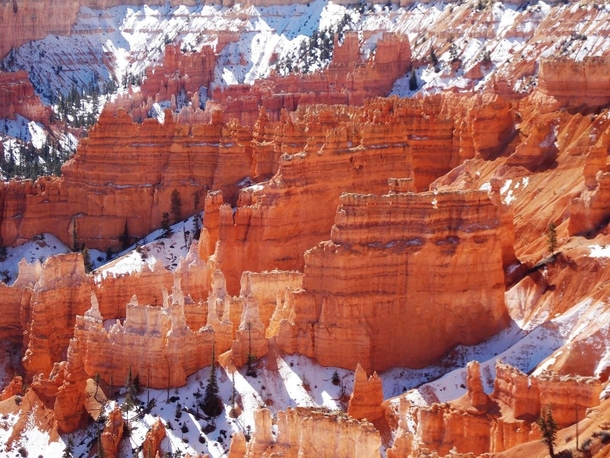 Snow-covered hoodoos in Bryce Canyon National Park Utah 
