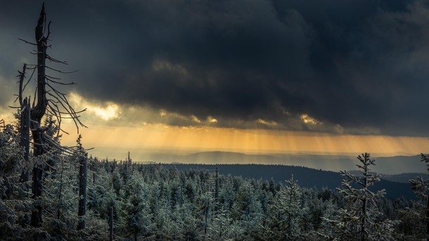 Snow covered trees and sunlight breaking through the clouds in the Jizersk Mountains Czech Republic 