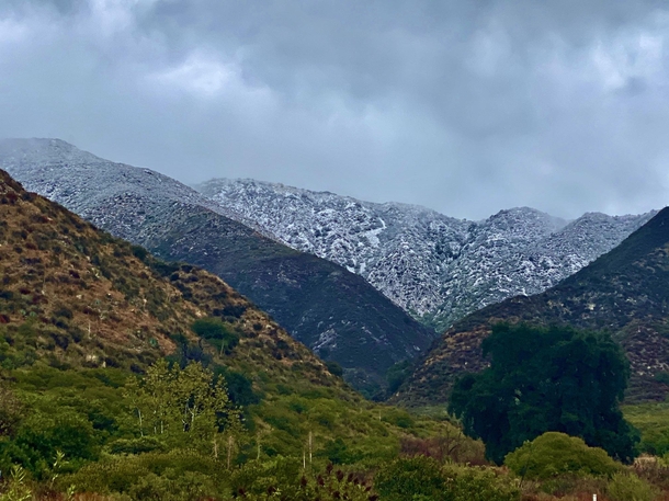 Snow in the Foothills of Los Angeles Thanksgiving morning  x  