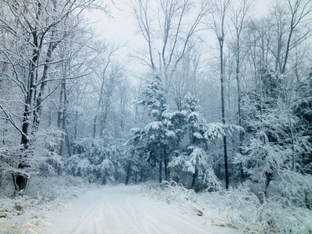 Snow in Wisconsin from an iPhone S 