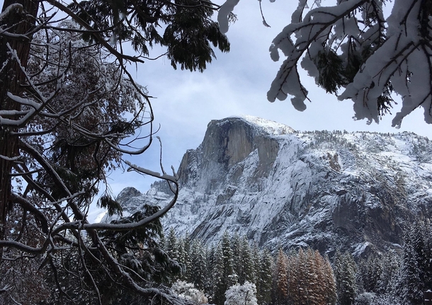 Snow Magic Yosemite 