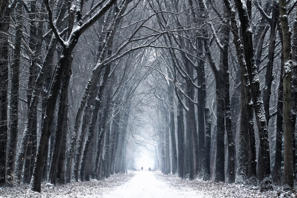 Snow path Netherlands January  