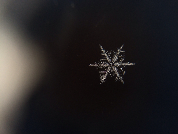 Snowflake from the other day 