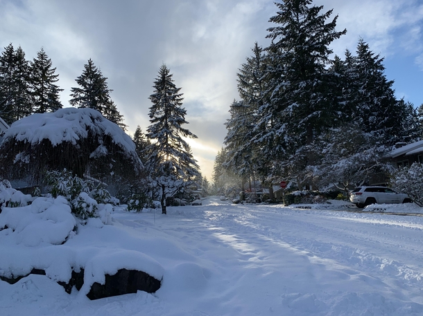 Snowgnarok in Kirkland WA 