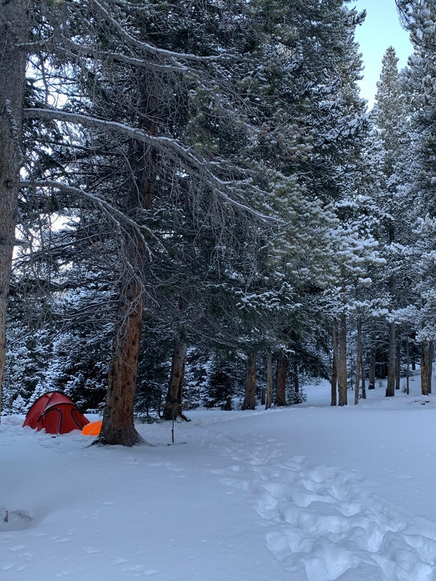 Snowshoeing and camping in the James Peak Wilderness CO
